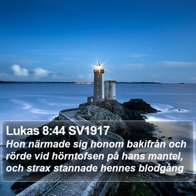 Lukas 8:44 SV1917 Bible Verse Image
