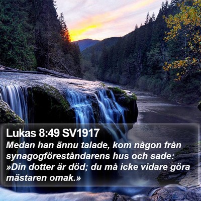 Lukas 8:49 SV1917 Bible Verse Image