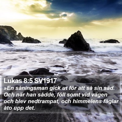Lukas 8:5 SV1917 Bible Verse Image
