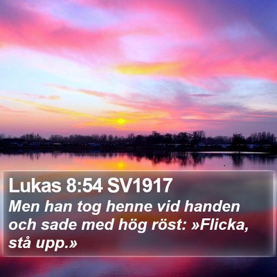 Lukas 8:54 SV1917 Bible Verse Image