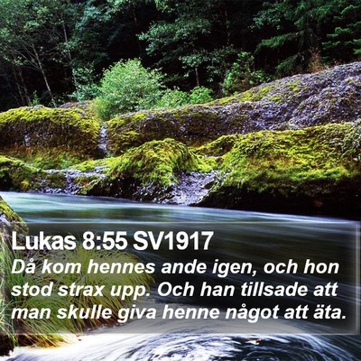 Lukas 8:55 SV1917 Bible Verse Image