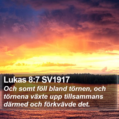 Lukas 8:7 SV1917 Bible Verse Image