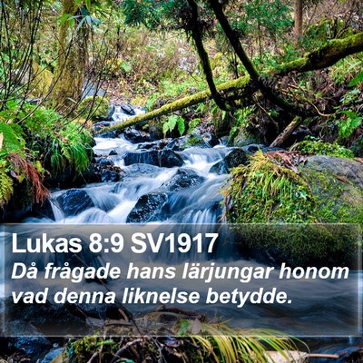 Lukas 8:9 SV1917 Bible Verse Image
