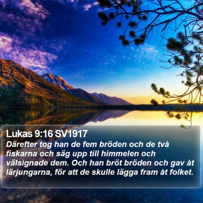 Lukas 9:16 SV1917 Bible Verse Image