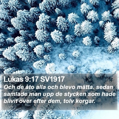 Lukas 9:17 SV1917 Bible Verse Image