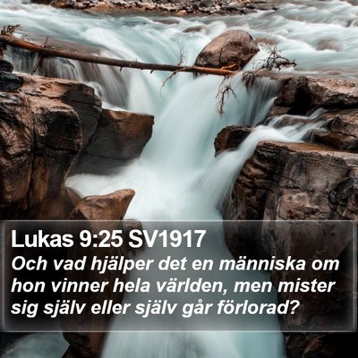 Lukas 9:25 SV1917 Bible Verse Image