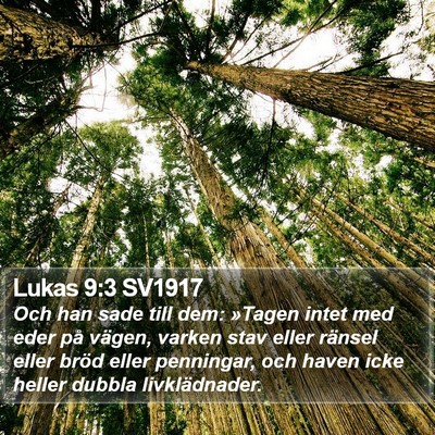 Lukas 9:3 SV1917 Bible Verse Image