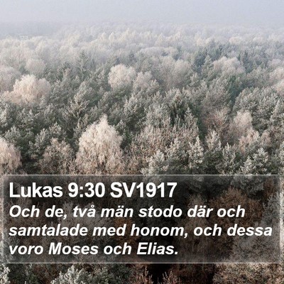 Lukas 9:30 SV1917 Bible Verse Image