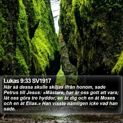 Lukas 9:33 SV1917 Bible Verse Image