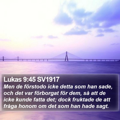 Lukas 9:45 SV1917 Bible Verse Image