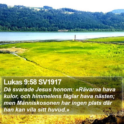 Lukas 9:58 SV1917 Bible Verse Image