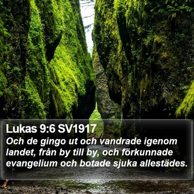 Lukas 9:6 SV1917 Bible Verse Image