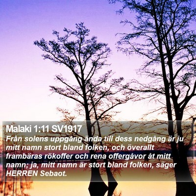 Malaki 1:11 SV1917 Bible Verse Image