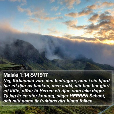 Malaki 1:14 SV1917 Bible Verse Image
