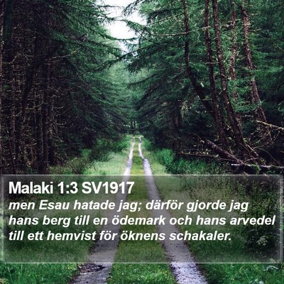 Malaki 1:3 SV1917 Bible Verse Image