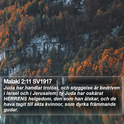 Malaki 2:11 SV1917 Bible Verse Image