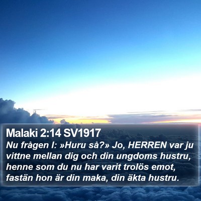 Malaki 2:14 SV1917 Bible Verse Image