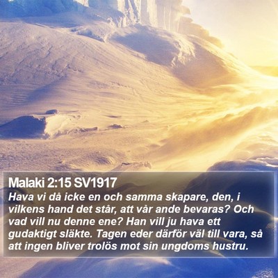Malaki 2:15 SV1917 Bible Verse Image