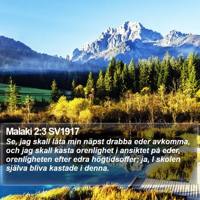 Malaki 2:3 SV1917 Bible Verse Image