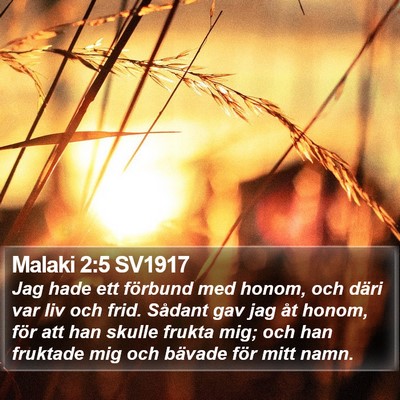 Malaki 2:5 SV1917 Bible Verse Image