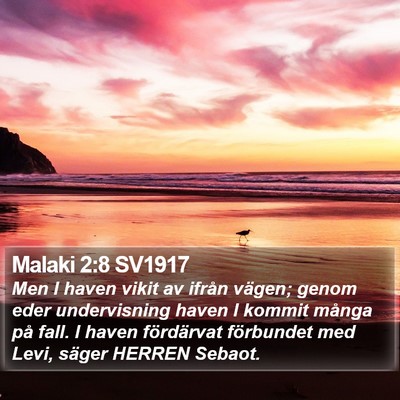 Malaki 2:8 SV1917 Bible Verse Image