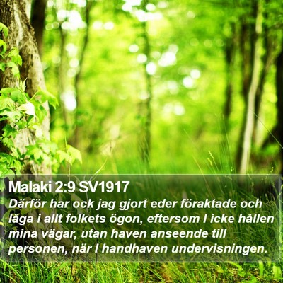 Malaki 2:9 SV1917 Bible Verse Image