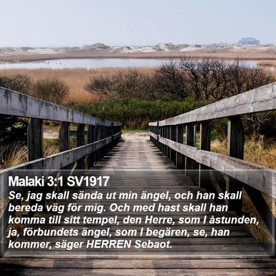 Malaki 3:1 SV1917 Bible Verse Image