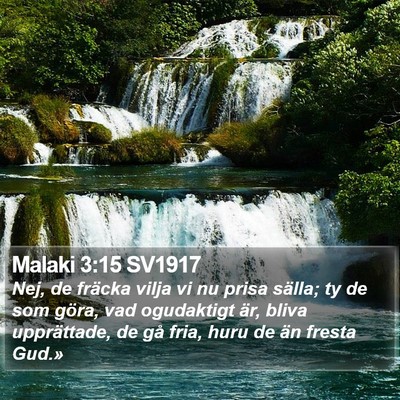 Malaki 3:15 SV1917 Bible Verse Image