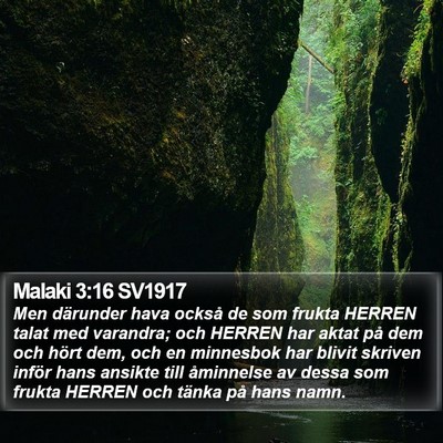 Malaki 3:16 SV1917 Bible Verse Image