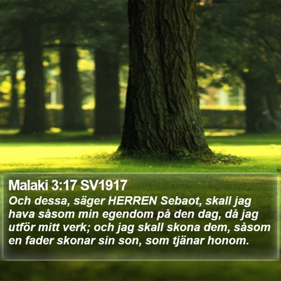 Malaki 3:17 SV1917 Bible Verse Image