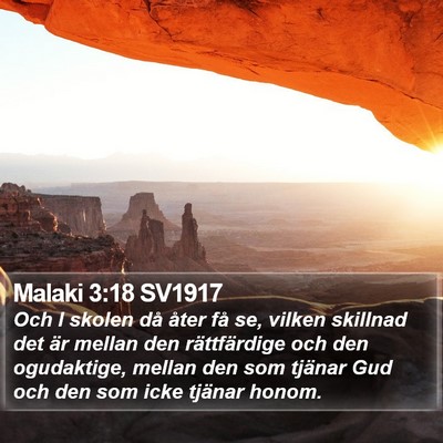 Malaki 3:18 SV1917 Bible Verse Image