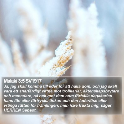 Malaki 3:5 SV1917 Bible Verse Image