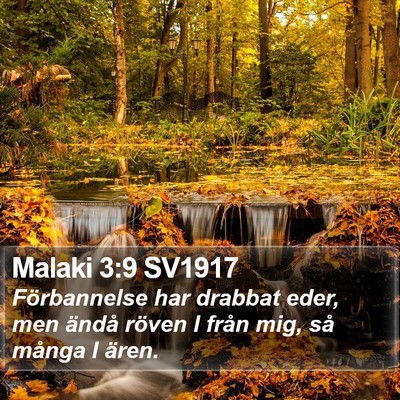 Malaki 3:9 SV1917 Bible Verse Image