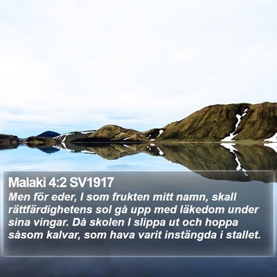 Malaki 4:2 SV1917 Bible Verse Image