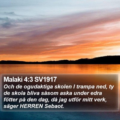 Malaki 4:3 SV1917 Bible Verse Image