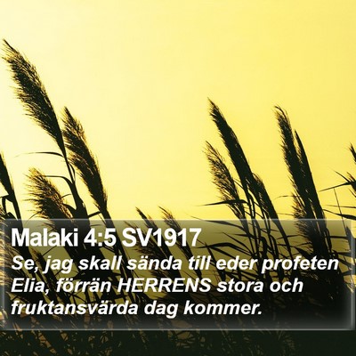 Malaki 4:5 SV1917 Bible Verse Image