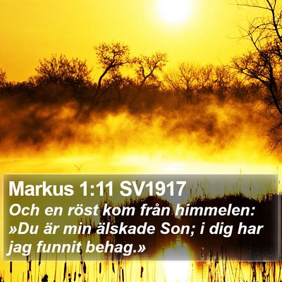 Markus 1:11 SV1917 Bible Verse Image