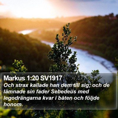 Markus 1:20 SV1917 Bible Verse Image