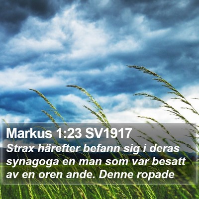 Markus 1:23 SV1917 Bible Verse Image