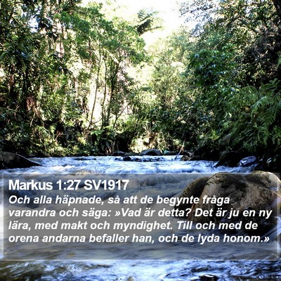 Markus 1:27 SV1917 Bible Verse Image