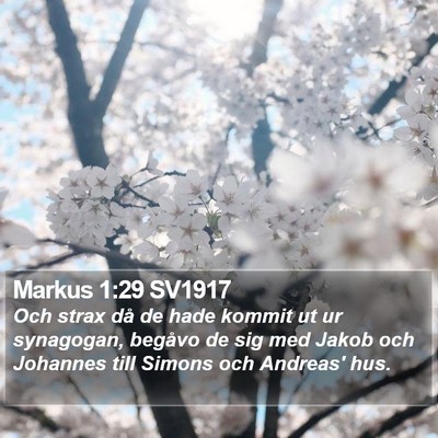 Markus 1:29 SV1917 Bible Verse Image