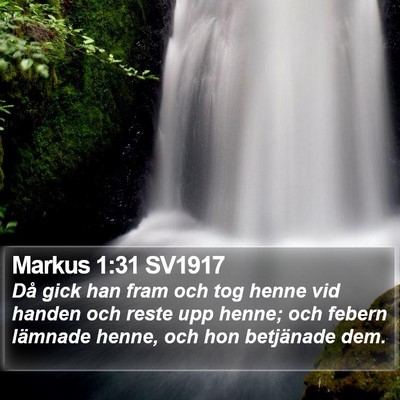 Markus 1:31 SV1917 Bible Verse Image