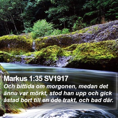 Markus 1:35 SV1917 Bible Verse Image