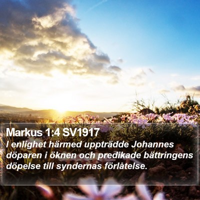 Markus 1:4 SV1917 Bible Verse Image