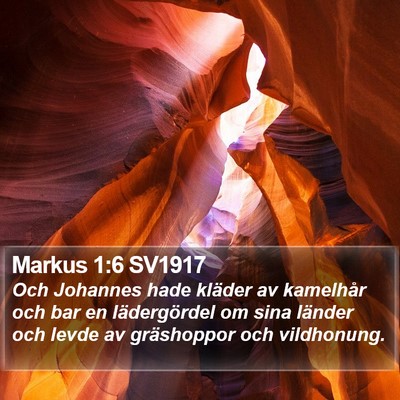 Markus 1:6 SV1917 Bible Verse Image