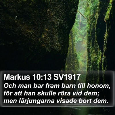 Markus 10:13 SV1917 Bible Verse Image