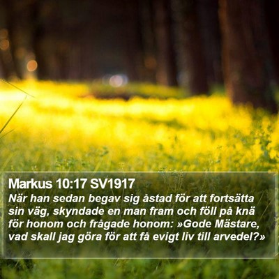Markus 10:17 SV1917 Bible Verse Image