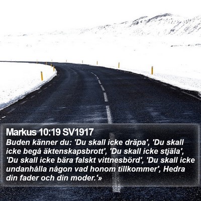 Markus 10:19 SV1917 Bible Verse Image