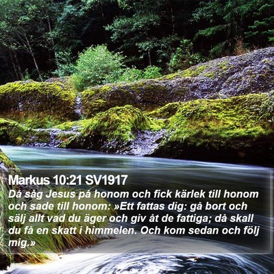 Markus 10:21 SV1917 Bible Verse Image