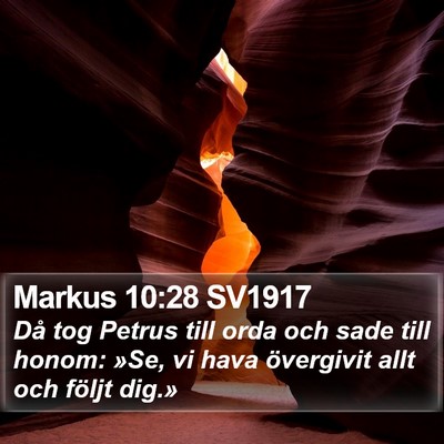 Markus 10:28 SV1917 Bible Verse Image